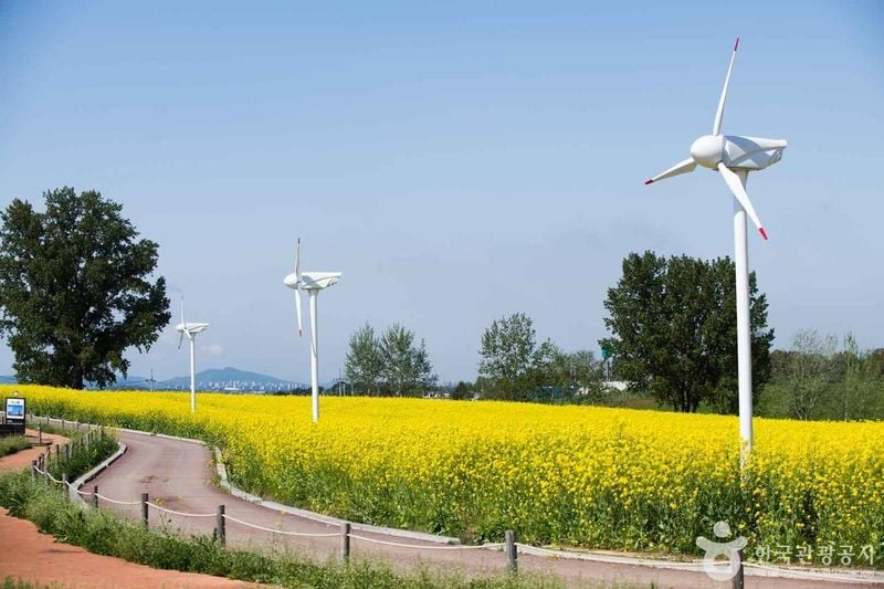 출처=한국관광공사 안성팜랜드