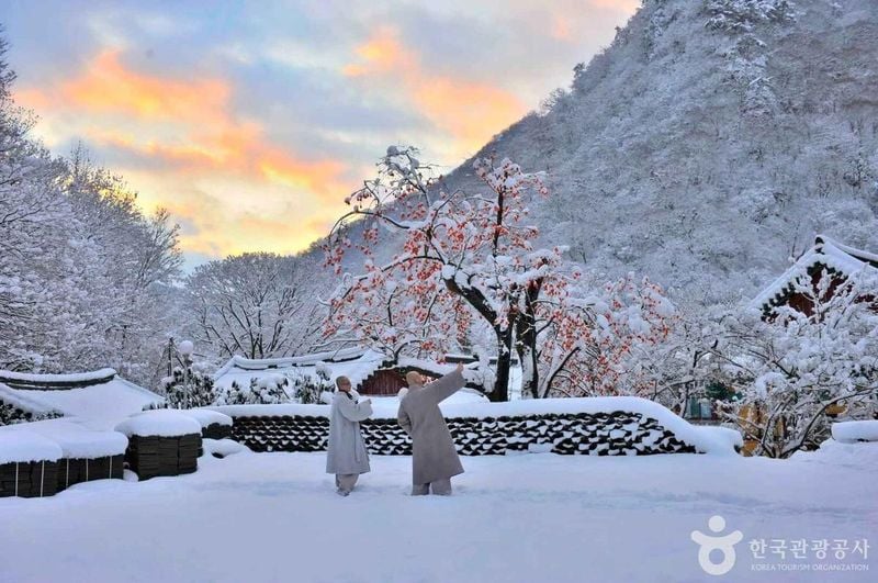 출처=한국관광공사 내장사