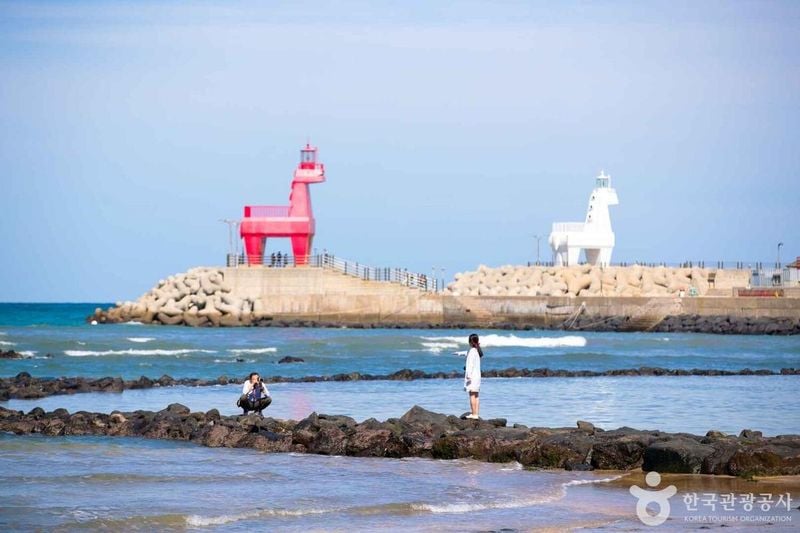 출처=한국관광공사 이호테우해수욕장