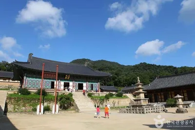“흐림에도 멈추지 않는다”…합천의 실내외 명소에서 찾은 여름 힐링