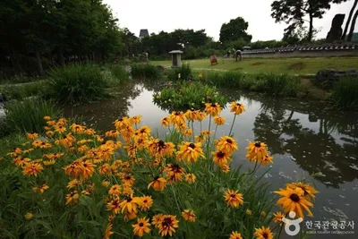 “한강 물길 따라 걷는다”…양평에서 만나는 자연과 문화의 온기