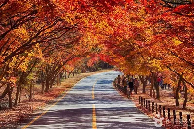 “초가을 순례자, 정읍을 걷다”…역사와 자연이 겹치는 산책길의 유혹