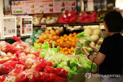 “정부 농산물 할인행사 ‘꼼수’ 논란”…감사원, 농식품부 유통감독 부실 지적