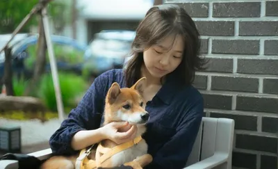 “김시은, 오후의 온기 속 산책”…반려견 품은 순간→일상에 깃든 잔잔한 위로