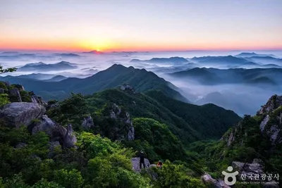 “금강 물결에 스며든 고요”…금산의 정원과 강변 산책, 마음에 남다