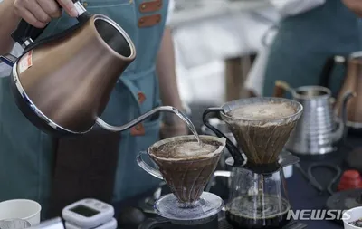 “디카페인 기준 달라진다”…식약처, 0.1% 미만 잔류로 소비자 안심 강화