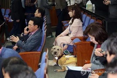 “장애인 비례대표 할당 과도” 논란에…더불어민주당, 국민의힘 대변인 강력 비판