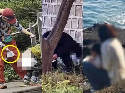 “AI가 관광 매너도 감독한다”…국립공원, 비매너 행위 감시 강화 논란