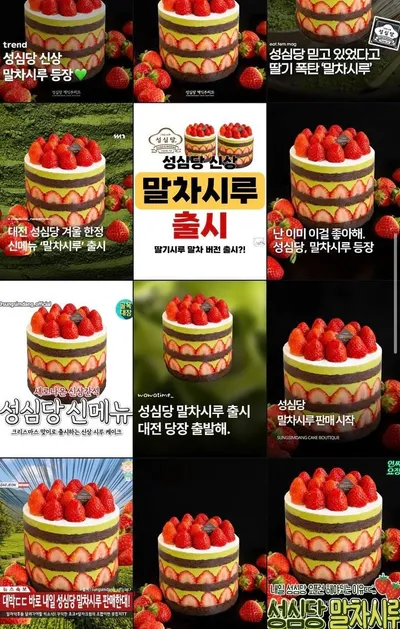“말차시루 흥행 신호탄”…성심당, 케이크 개발도 데이터전쟁