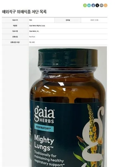 “호흡기 증상 완화 직구식품”...식약처, 반입차단 확대