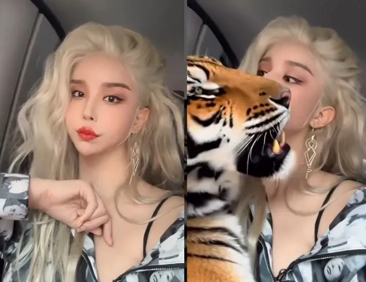 “집안에 호랑이 한 마리”…하리수, SNS 영상 속 유쾌한 반전→팬들 깜짝 놀랐다