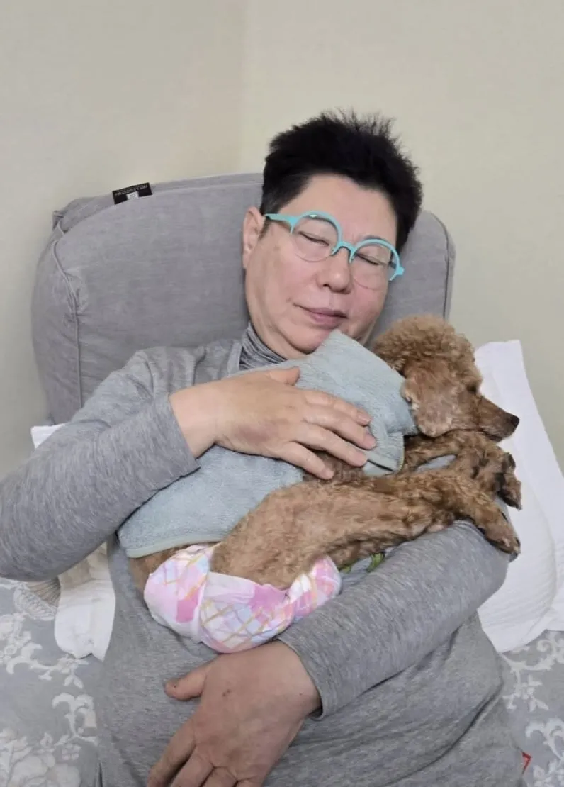 양희은, 반려견과 마지막 산책