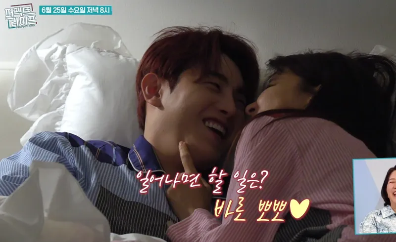TV조선 '퍼펙트라이프'