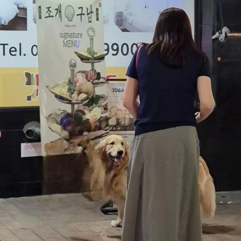 “리트리버와 마주친 순간”…조미령, 부산의 밤거리→따스한 일상 포착 / 배우 조미령 인스타그램