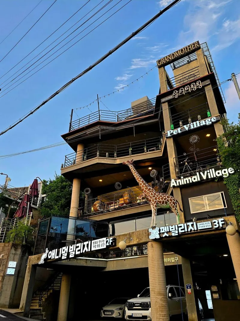 출처=애니멀 빌리지