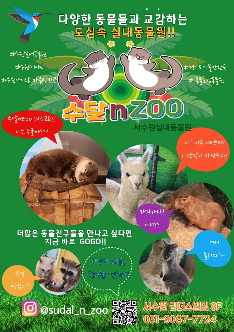 출처=수달앤쥬