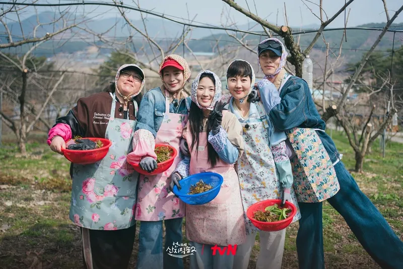 tvN