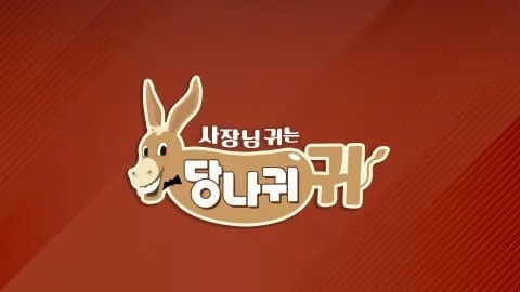 엄보스 해녀복 변신…‘사장님 귀는 당나귀 귀’ 아나운서 모델 전쟁→제주에서 웃음 폭발 / KBS