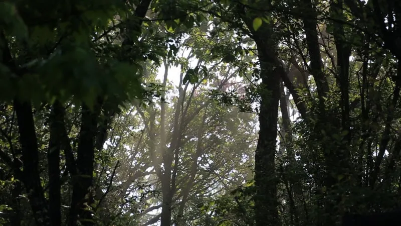 산길 넘어선 푸른 호흡…‘영상앨범 산’ 이수련·박석신, 덕유산 종주→여름 품은 도전