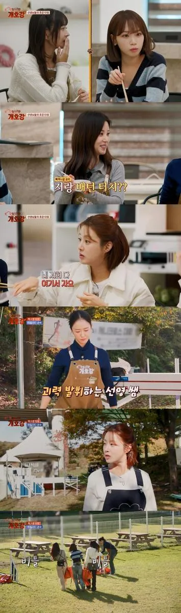 “괴력의 언니들 놀람”…강소라·박선영, ‘집나가면개호강’ 어질리티 체험→아이브 레이 경악 / JTBC