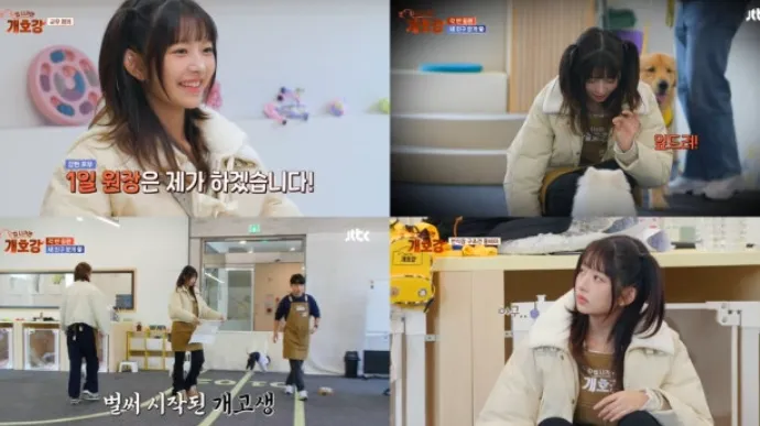 JTBC ‘집 나가면 개호강’