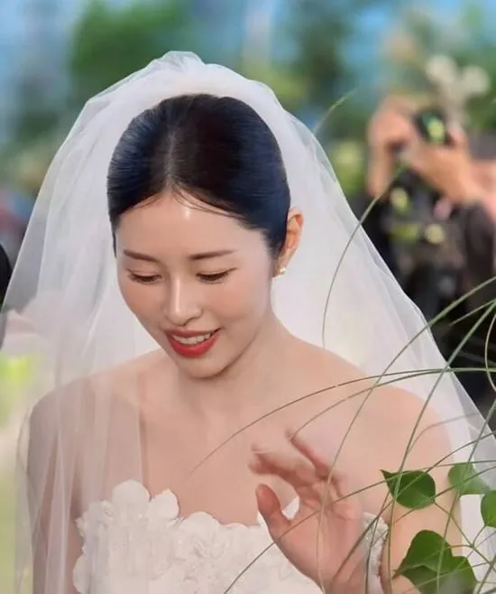풍자 SNS