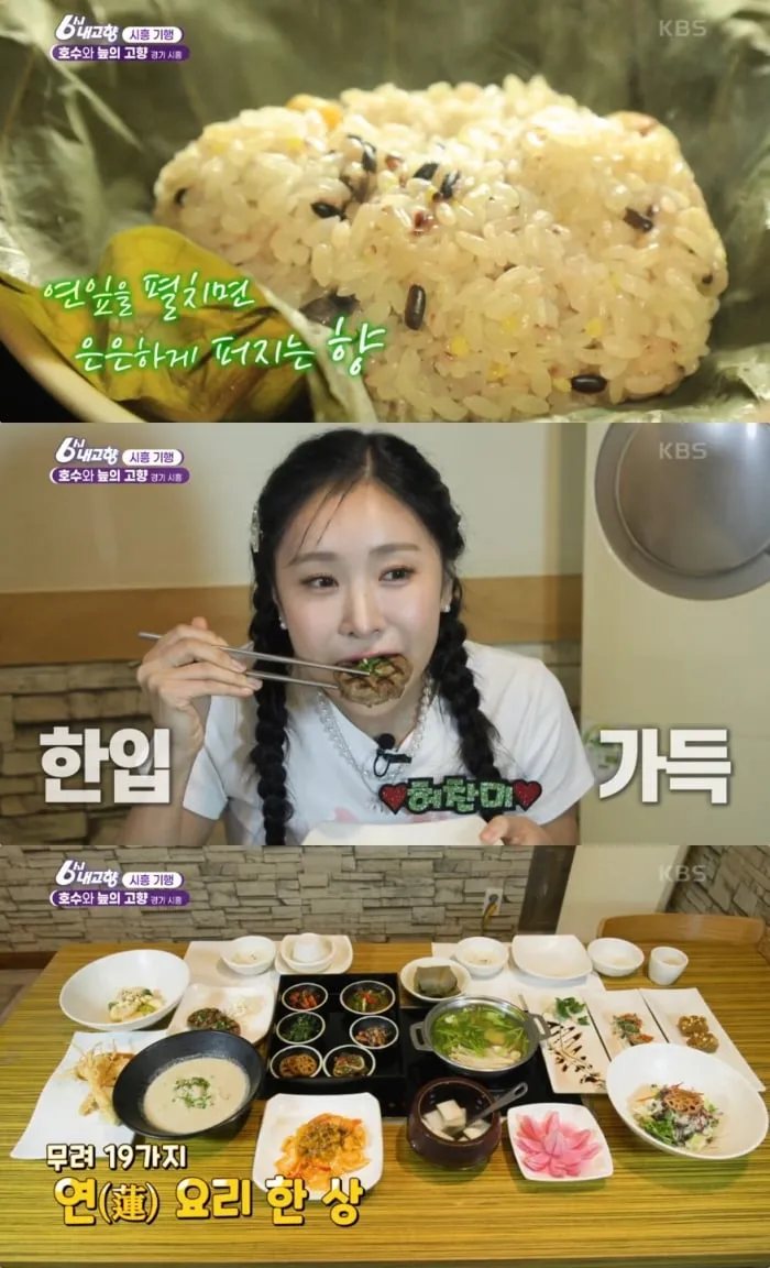 KBS ‘6시 내고향’ 방송 캡처