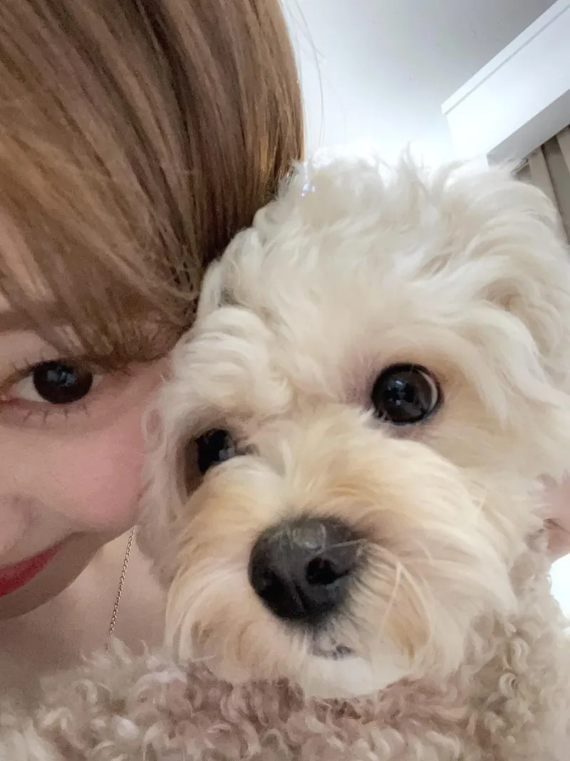 “The moments I love”…문채솔, 반려견과 여름밤→순수한 휴식 / 걸그룹 시그니처 문채솔 인스타그램