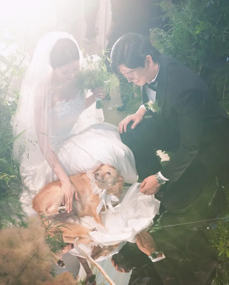 “너만 바라보던 순간”…서동주, 순백의 웨딩→따스한 가족의 시작 / 방송인 서동주 인스타그램