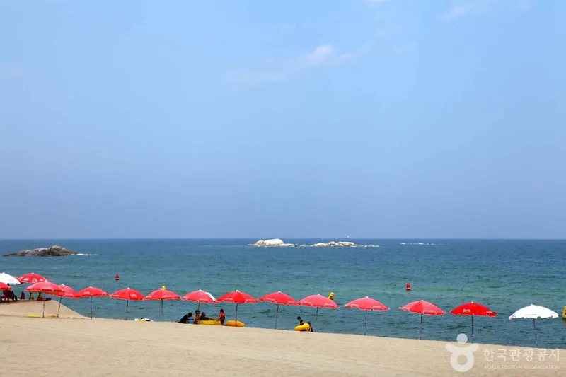 사진 출처 = 포토코리아(한국관광공사) 강릉 경포해변