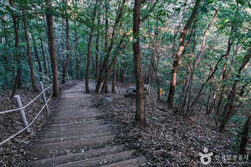 사진 출처 = 포토코리아(한국관광공사) 천안 광덕산