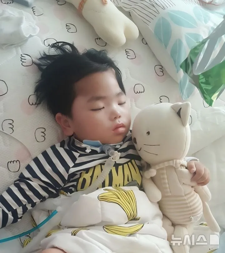 뉴시스, 한국장기조직기증원