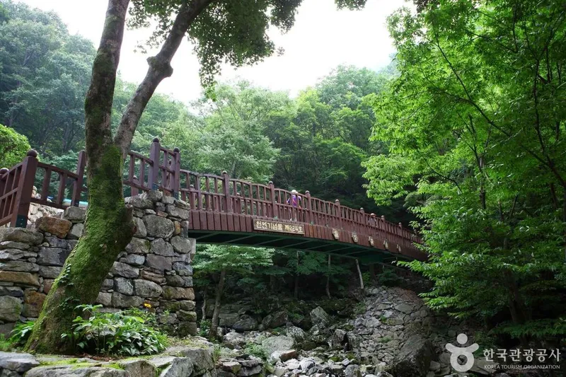 사진 출처 = 포토코리아(한국관광공사) 밀양 얼음골