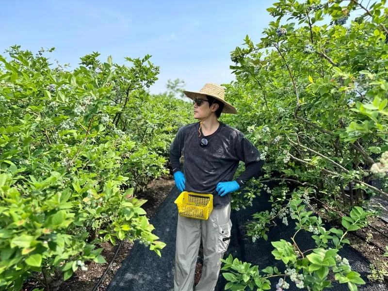“저와 함께 블루베리 맛보러 가실래요”…김강우, 여름 햇살 아래→힐링 가득한 산책 / 배우 김강우 인스타그램
