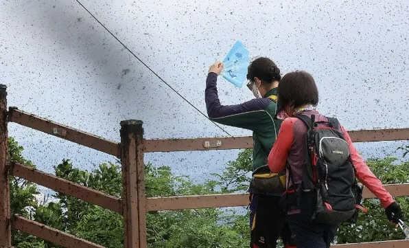 출처=연합뉴스